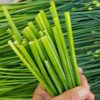 bong-he-xanh-chat-luong