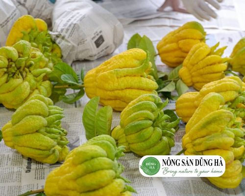 cach-bao-quan-qua-phat-thu