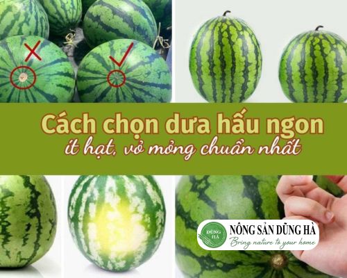 cach-chon-mua-dua-hau-khong-hat-ngon