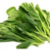 cai-ngong-chat-luong