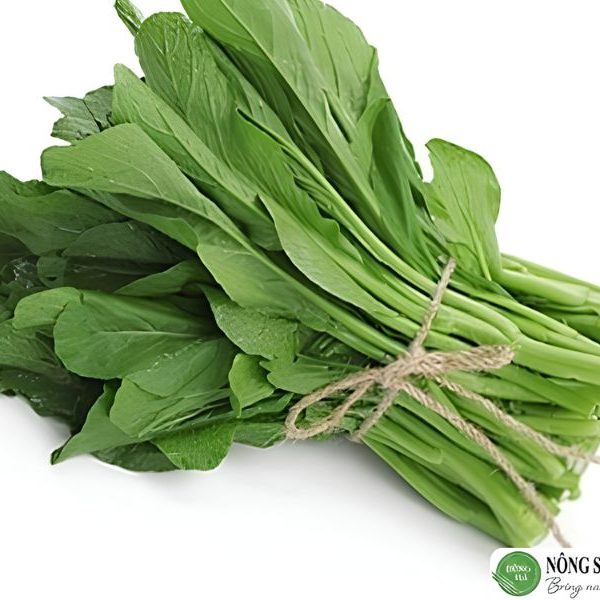 cai-ngong-dung-ha