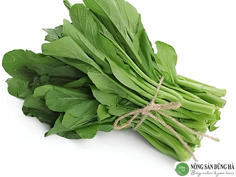 cai-ngong-dung-ha