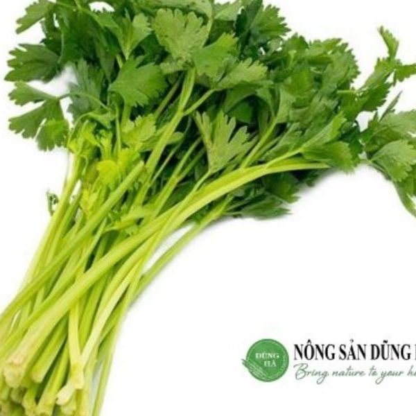 can-toi-tay-nong-san-dung-ha-tuoi