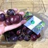 cherry-nhap-khau-dung-ha-gia-re