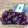 cherry-nhap-khau-dung-ha-gia-tot