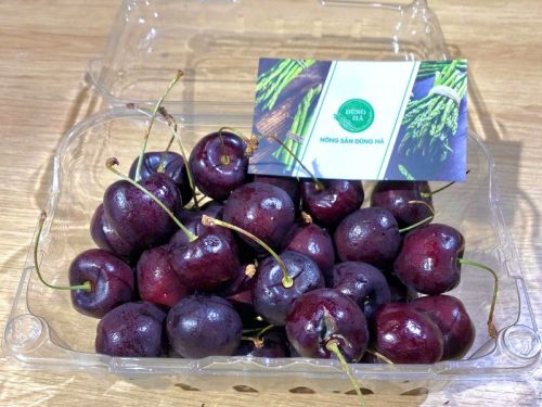 cherry-nhap-khau-dung-ha-gia-tot