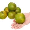 chon-mua-quyt-duong-ngon-chuan-vi