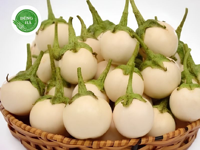 cong-dung-cua-ca-phao
