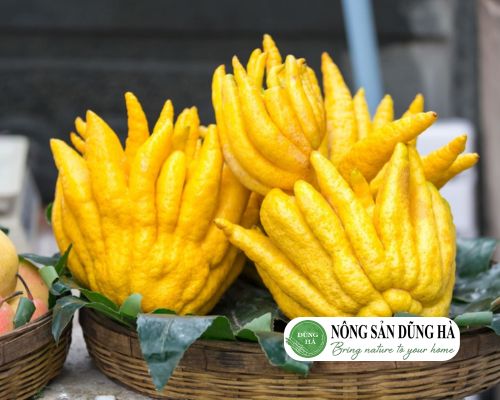 cong-dung-cua-qua-phat-thu