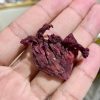 cong-dung-hoa-atiso-do-kho