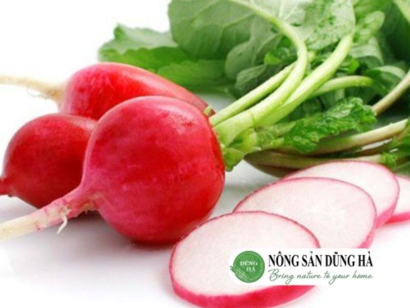 cu-cai-duong-dung-ha