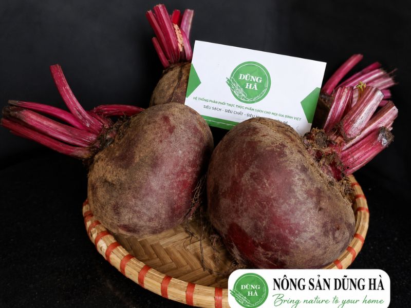 cu-den-do-dung-ha-tuoi-ngon