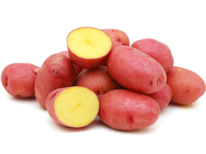 cu-khoai-tay-do