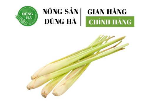 cu-sa-nong-san-dung-ha