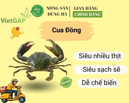 cua-dong-nong-san-dung-ha