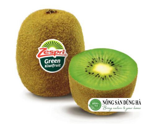 dac-diem-cua-qua-kiwi-xanh