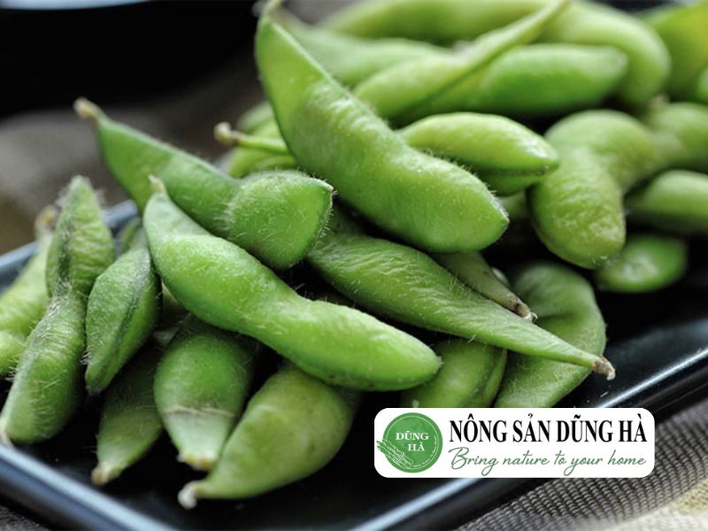 dau-nanh-nhat-la-gi