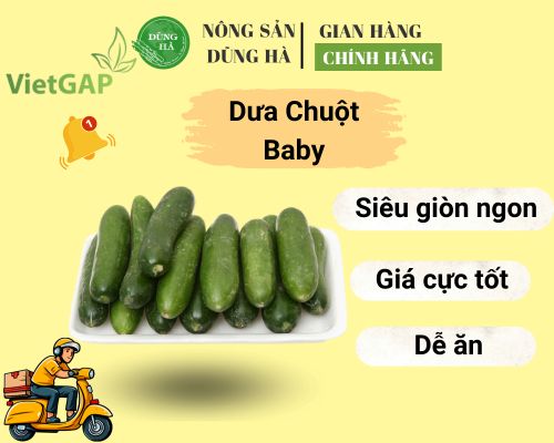 dua-chuot-baby-nong-san-dung-ha-chat-luong