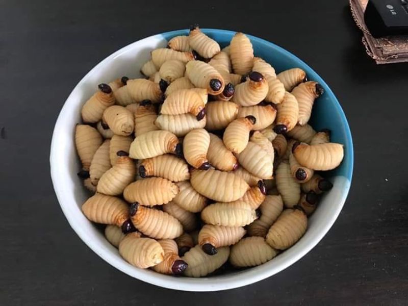 duong-dua-bao-nhieu-tien