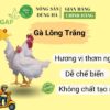 ga-long-trang-nong-san-dung-ha