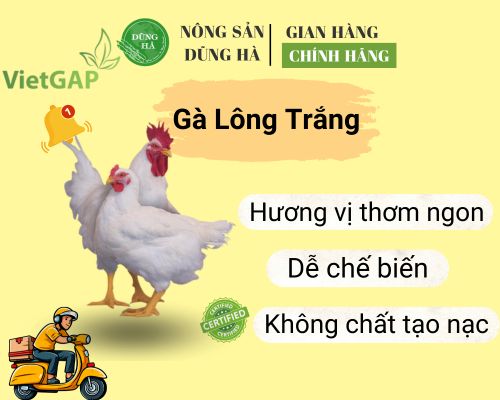 ga-long-trang-nong-san-dung-ha