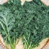gia-cai-xoan-kale-hom-nay-la-bao-nhieu