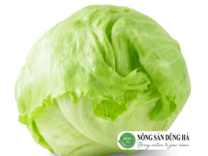 gia-cua-xa-lach-my-iceberg-1kg-hom-nay