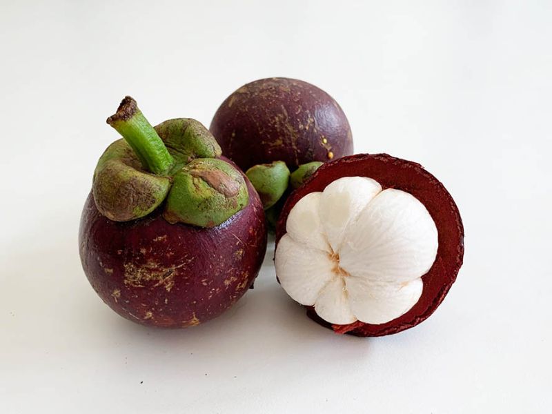 gia-mang-cut-bao-nhieu-hien-nay