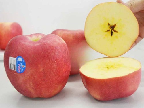 gia-tao-rose-new-zealand-bao-nhieu-1kg