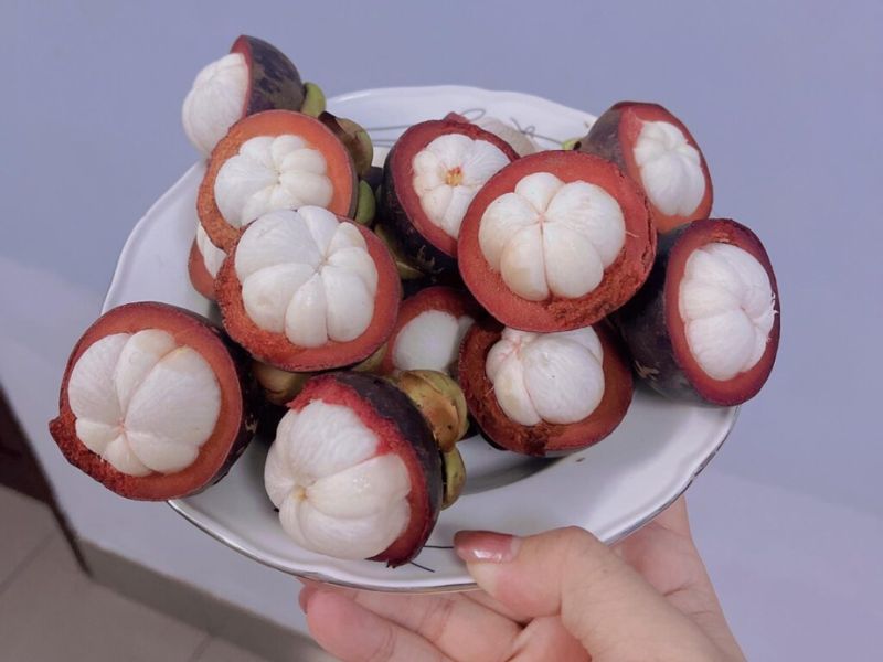 gioi-thieu-tong-quan-ve-qua-mang-cut