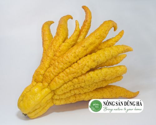 gioi-thieu-tong-quan-ve-qua-phat-thu