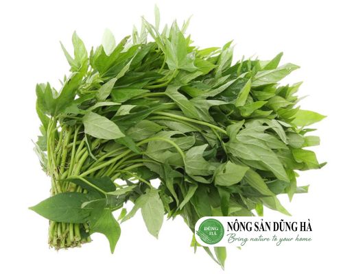 gioi-thieu-ve-rau-lang-huu-co