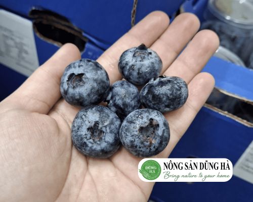 gioi-thieu-ve-viet-quat-sieu-thi-nong-san-dung-ha