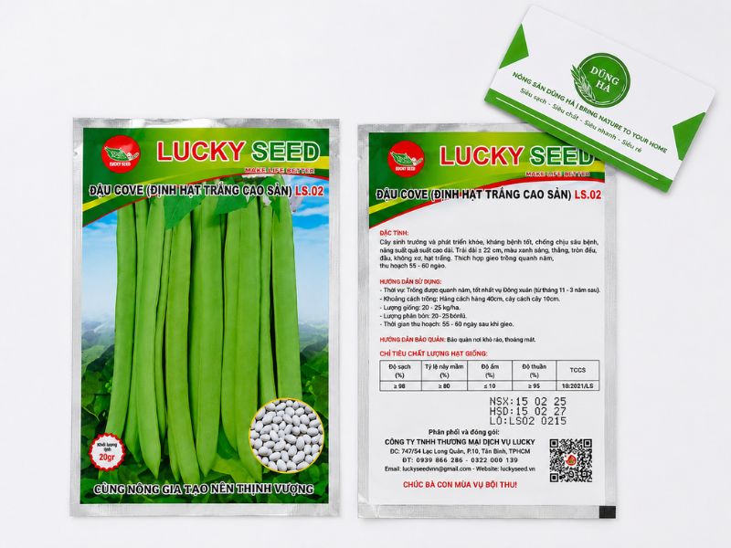 hat-giong-dau-co-ve-bui-dung-ha