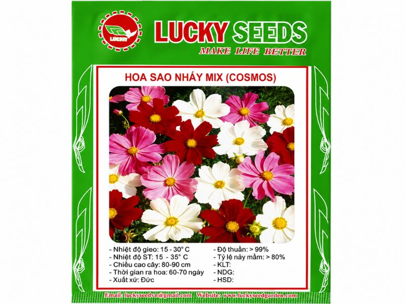hat-giong-hoa-sao-nhay-mix