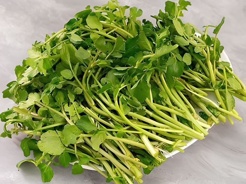 hat-giong-rau-cai-xoong-dung-ha