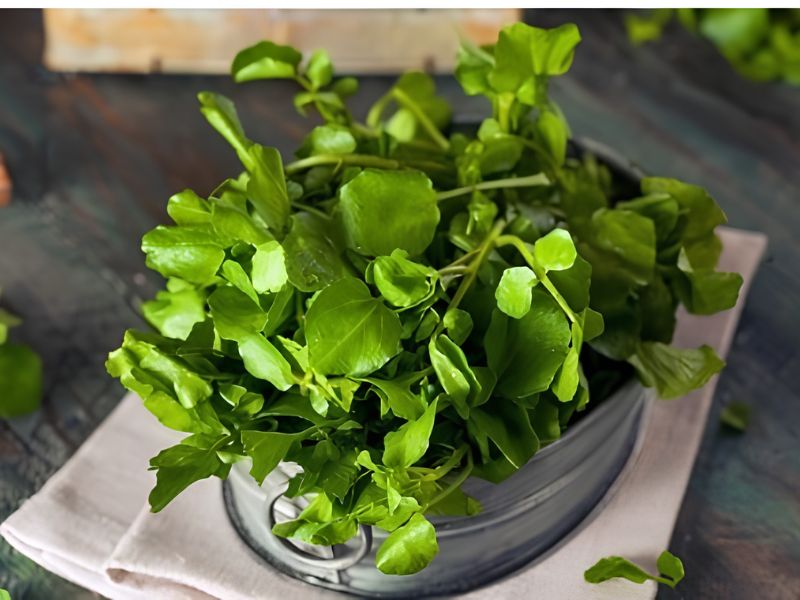 hat-giong-rau-cai-xoong-nhu-nao