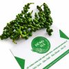 hat-tieu-xanh-phu-quoc-dung-ha