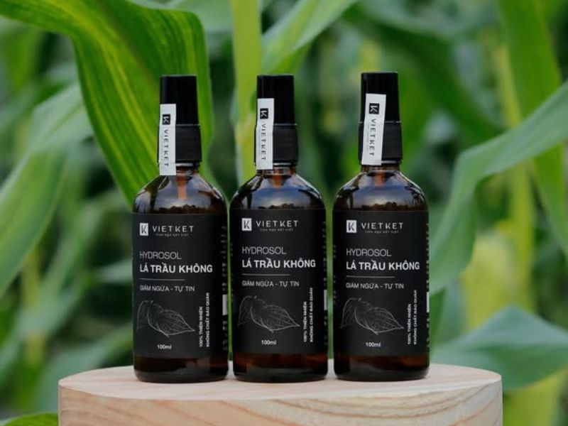 hydrosol-la-trau-khong-bac-ha