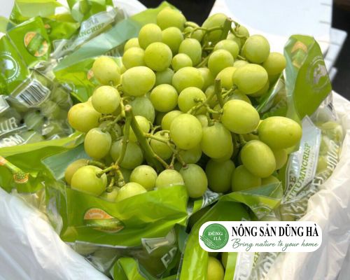loi-ich-suc-khoe-cua-nho-xanh-khong-hat-uc