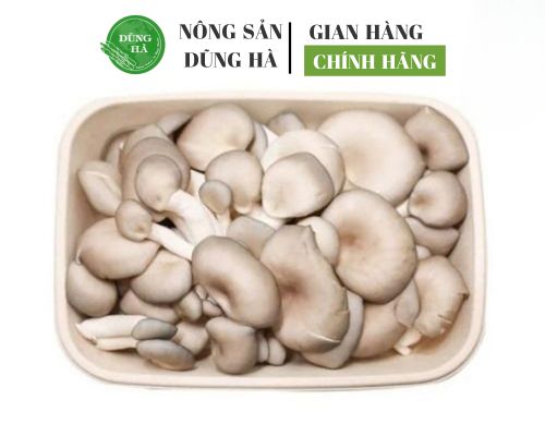 nam-hao-huong-nong-san-dung-ha