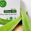 nha-dam-tuoi-dung-ha-gia-tot