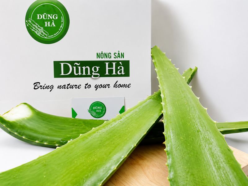 nha-dam-tuoi-dung-ha-gia-tot