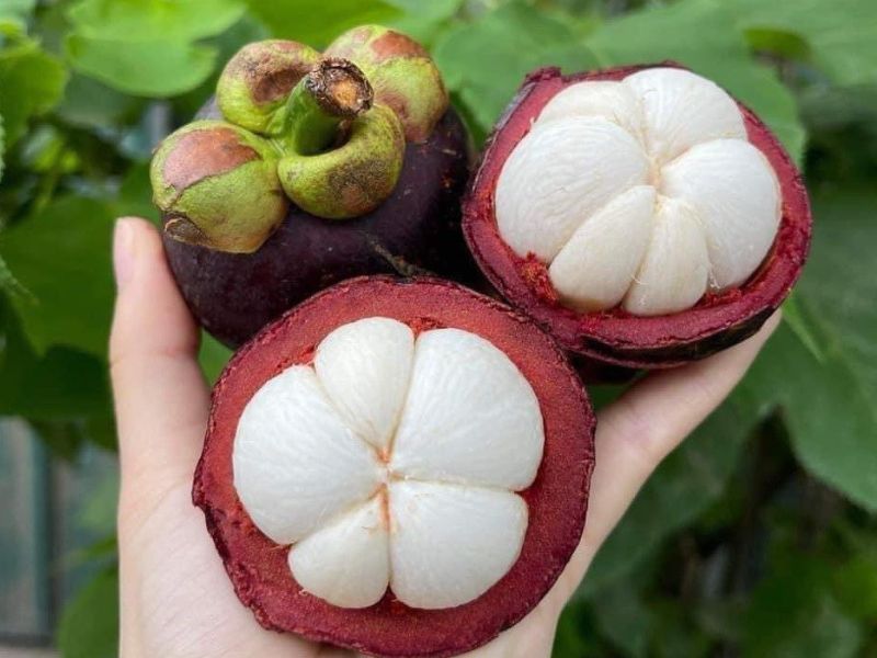 nong-san-dung-ha-ban-qua-mang-cut-tuoi-ngon-so-1-viet-nam
