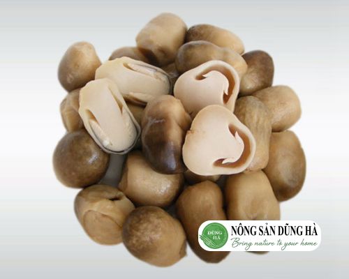 nong-san-dung-ha-cung-cap-nam-rom-tuoi-ngon-so-1-viet-nam