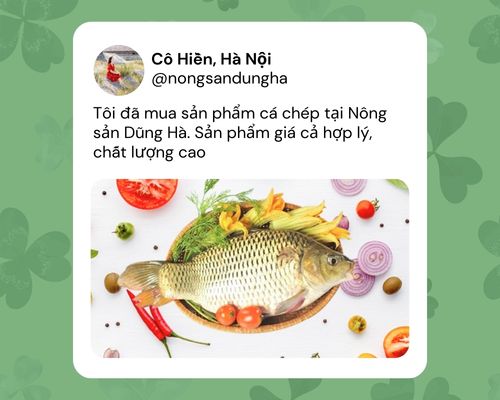 phan-hoi-ca-gay