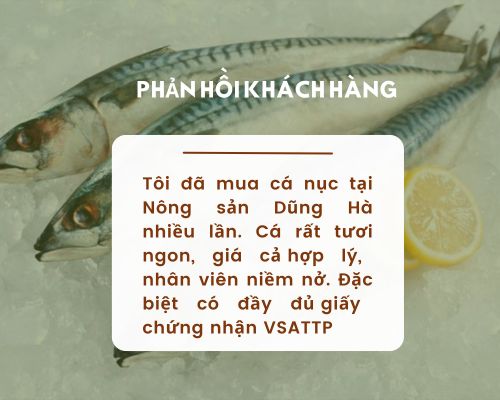 phan-hoi-ca-nuc