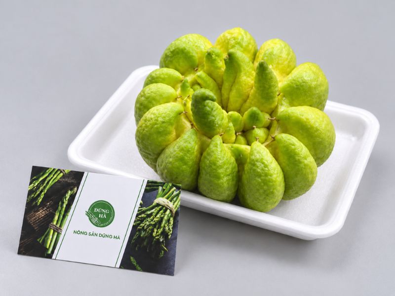 qua-phat-thu-tai-nong-san-dung-ha