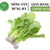 rau-cai-ngot-dung-ha