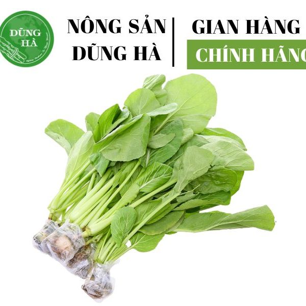rau-cai-ngot-dung-ha